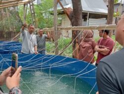 Kunjungi Budidaya Ikan Air Tawar, Pj Wali Kota Parepare Apresiasi Penggunaan Lahan Losong Jadi Produktif