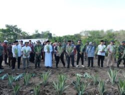 Pesantren As’diayah Sengkang Siapkan 100 Hektare untuk Pertanian dan Peternakan