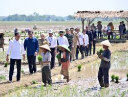 Musim Hujan Tiba, Presiden Jokowi: Kita Ingin Dorong Petani Segera Mulai Tanam Padi