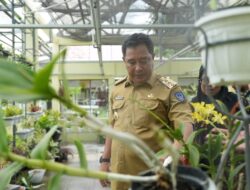 Kunjungi Kantor Dinas TPH-BUN Sulsel, Pj Gubernur Bahtiar: Mohon Dukungan ta’