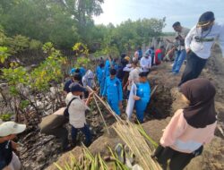 Cegah Abrasi, 78 Ribu Mangrove Ditanam di Kawasan Pesisir Bone