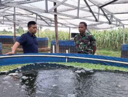 Bakal Dimaksimalkan, Aster XIV/Hsn Tinjau 7,9 Ha Lokasi Sentra Hanpangan di Gowa