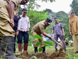 Setelah Rammang-rammang, Bantimurung Jadi Sasaran Program Budidaya Sukun