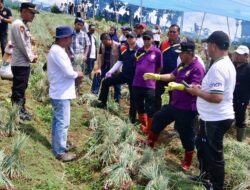 Momen Petani Bawang di Enrekang Bertemu Pj Gubernur