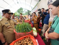 Harga Cabai di Pasar Sungguminasa Turun, Sudah Rp30 Ribu per Kilogram