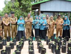 Gerakan Menanam Cabai di Sidrap untuk Kendalikan Inflasi