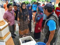 Gelar Bazar Ikan Segar dan Pasar Murah, Dinas Perikanan Gandeng Bulog dan HNSI