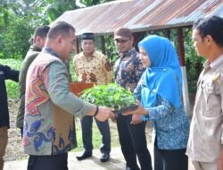 Manfaatkan Lahan Pekarangan Kantor Menjadi Produktif