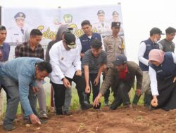 Pj Gubernur Ikut Tanam Kentang Bersama Petani Tinggimoncong, Minta Bank Salurkan KUR