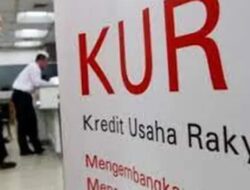 209.462 Debitur di Sulsel Berhasil Akses Dana KUR