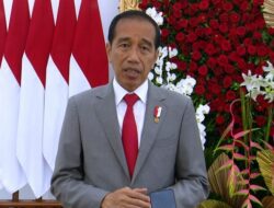 Presiden Jokowi Akan Berkantor di IKN hingga Masa Jabatan Berakhir, Pihak Istana Jelaskan Alasannya