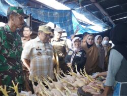 Pj Bupati Luwu Pantau Harga Bahan Pokok di Pasar Rakyat Bajo, Ini Hasilnya