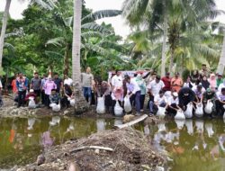Hingga Hari Ini, Sudah 2,1 Juta Benih Ikan Air Tawar Ditebar di Bone