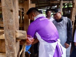 Pj Gubernur Pastikan Program Inseminasi Buatan Sampai ke Masyarakat