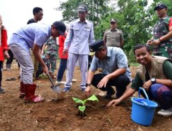 Tanam Sukun Hingga Tebar Benih Ikan di Kawasan Rammang-rammang, Diharapkan Jadi Daya Tarik Wisatawan