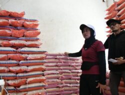 Siap-siap! 12 Kecamatan di Lutra Akan Gelar Gerakan Pangan Murah