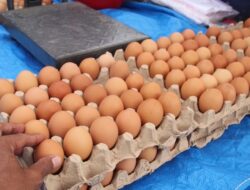 Bapanas: Harga Daging Ayam Rp34.663/Kg, Cabai Rawit Rp56.210/Kg, Telur Ayam Rp29.082/Kg