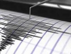 Lagi Gempa M 5,0 Guncang Raja Ampat, tak Berpotensi Tsunami