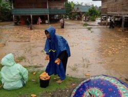 Banjir Landa 5 Kecamatan di Wajo, Puluhan Desa Terisolasi