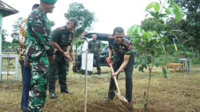 Kasad Pimpin Tanam Pohon Serentak,  500 Pohon Buah Ditanam di Secata Rindam XIV/Hsn