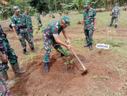Tanam Serentak, Secaba Rindam XIV/Hsn Tanam Ratusan Bibit Buah di Lahan Kosong