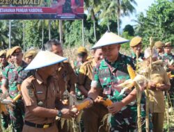 Manfaatkan 9 Hektar Lahan Tidur, Yonarmed 21/Kawali Panen Jagung 