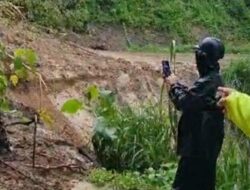 Poros Enrekang-Toraja Longsor, Jalur Trans-Sulawesi Lumpuh Total