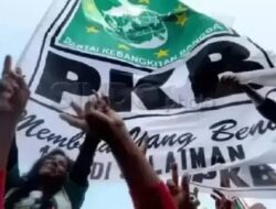 PKB Umumkan 35 Nama Calon Kepala Daerah 2024, Chaidir Syam di Maros, DM di Gowa