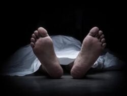 Pulang dari Kebun, Perempuan di Sidrap Tewas Dimangsa Ular Piton