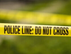 Jasad Bayi Perempuan Ditemukan di Area Persawahan Gowa, Sudah Membusuk