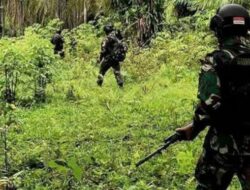 TNI Buru OPM Pembunuh Warga Jeneponto di Paniai, Panah-Amunisi Disita