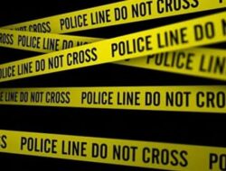 Gerebek Judi Sabung Ayam di Toraja Utara, Polisi Gagal Tangkap Pelaku