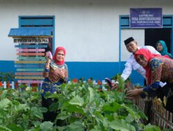 Giliran PKK Tompobulu Unjuk Inovasi, Pedati dan Geliat untuk Tekan Stunting