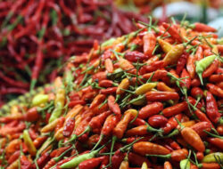 Hari ini Beras-Cabai Naik, Gula dan Ayam Turun