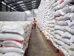 Harga Beras Naik Lagi, BPS Wanti-wanti Soal Inflasi