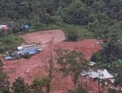 Longsor Tambang Emas Gorontalo: Sudah 11 Orang Ditemukan Tewas