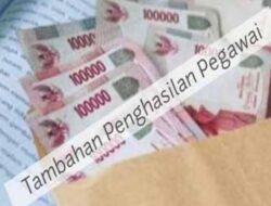 TPP tak Terbayar 2 Bulan, ASN Pemkot Parepare Tuntut Kejelasan