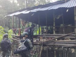 TNI Sergap OPM di Papua Tengah, 3 Orang Tewas