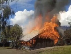OPM Kembali Tebar Teror, Bakar Sekolah di Pegunungan Bintang