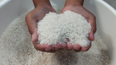 Bapanas: Beras Premium Turun Menjadi Rp15.733/Kg, Beras Medium Rp13.759/Kg