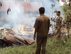Rumah Panggung di Sinjai Dilalap Si Jago Merah, Uang Tunai dan Padi Ikut Terbakar