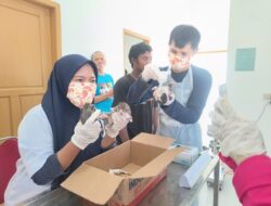 Peringati Word Rabies Day, DPKH Sinjai Buka Pelayanan Kesehatan Hewan Gratis