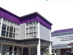 HUT ke-355 Sulsel, Pemprov Gelar Operasi Celah Bibir dan Celah Lelangit Gratis di RSKDGM