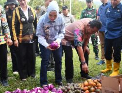 Sulbar Masuk 11 Terbaik Nasional Pengendalian Inflasi, Didorong Program Pasar Murah