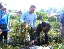 Dorong Produktivitas, Pemprov Sulbar akan Salurkan Bibit Hortikultura kepada Petani