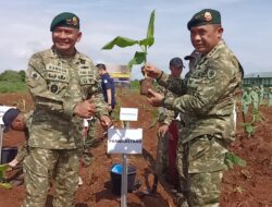Pimpin Prajurit Divif 3 Tanam 9.292 Pohon, Pangkostrad: Upaya Tingkatkan Ketahanan Pangan dan Lestarikan Lingkungan