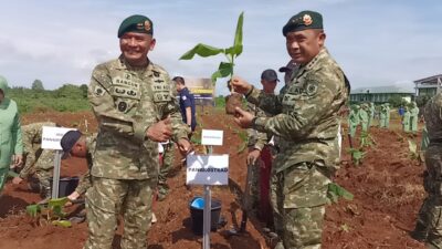 Pimpin Prajurit Divif 3 Tanam 9.292 Pohon, Pangkostrad: Upaya Tingkatkan Ketahanan Pangan dan Lestarikan Lingkungan