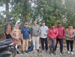 10 Kawasan di Luwu Utara Diusul Jadi Hutan Lindung