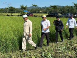 Mentan Pastikan Pemerintah Gelontorkan Rp12 Triliun untuk Irigasi di Konawe