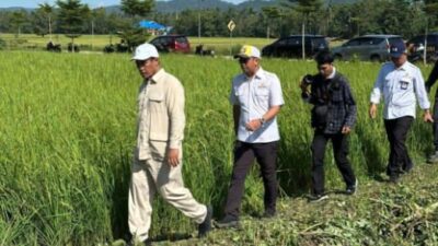 Mentan Pastikan Pemerintah Gelontorkan Rp12 Triliun untuk Irigasi di Konawe